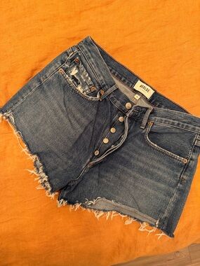 AGOLDE Parker Denim Shorts